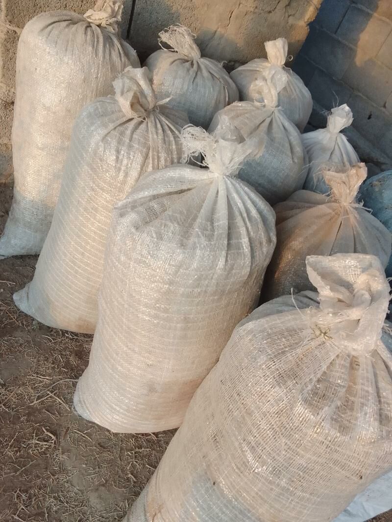 Yandak dowilen - Magtymguly - img 3