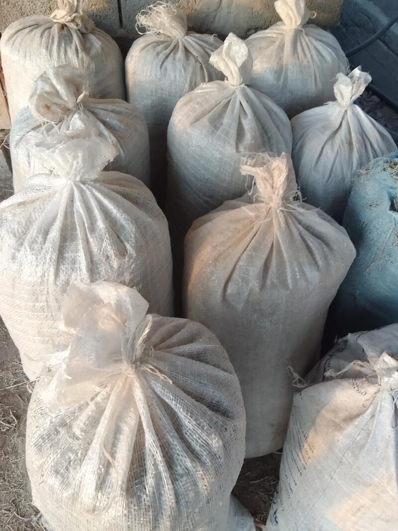 Yandak dowilen - Magtymguly - img 2