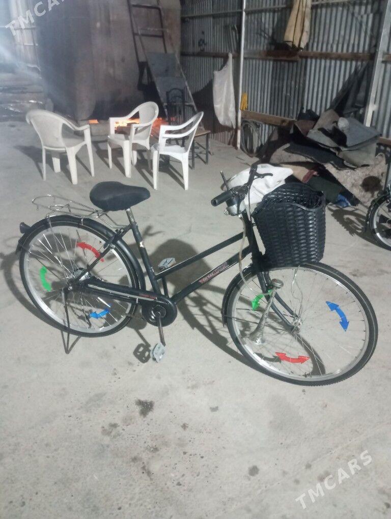 welik26 - Mary - img 2