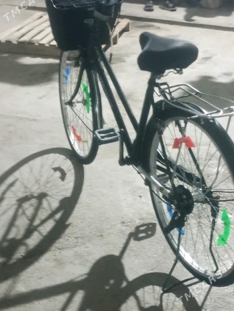 welik26 - Mary - img 3