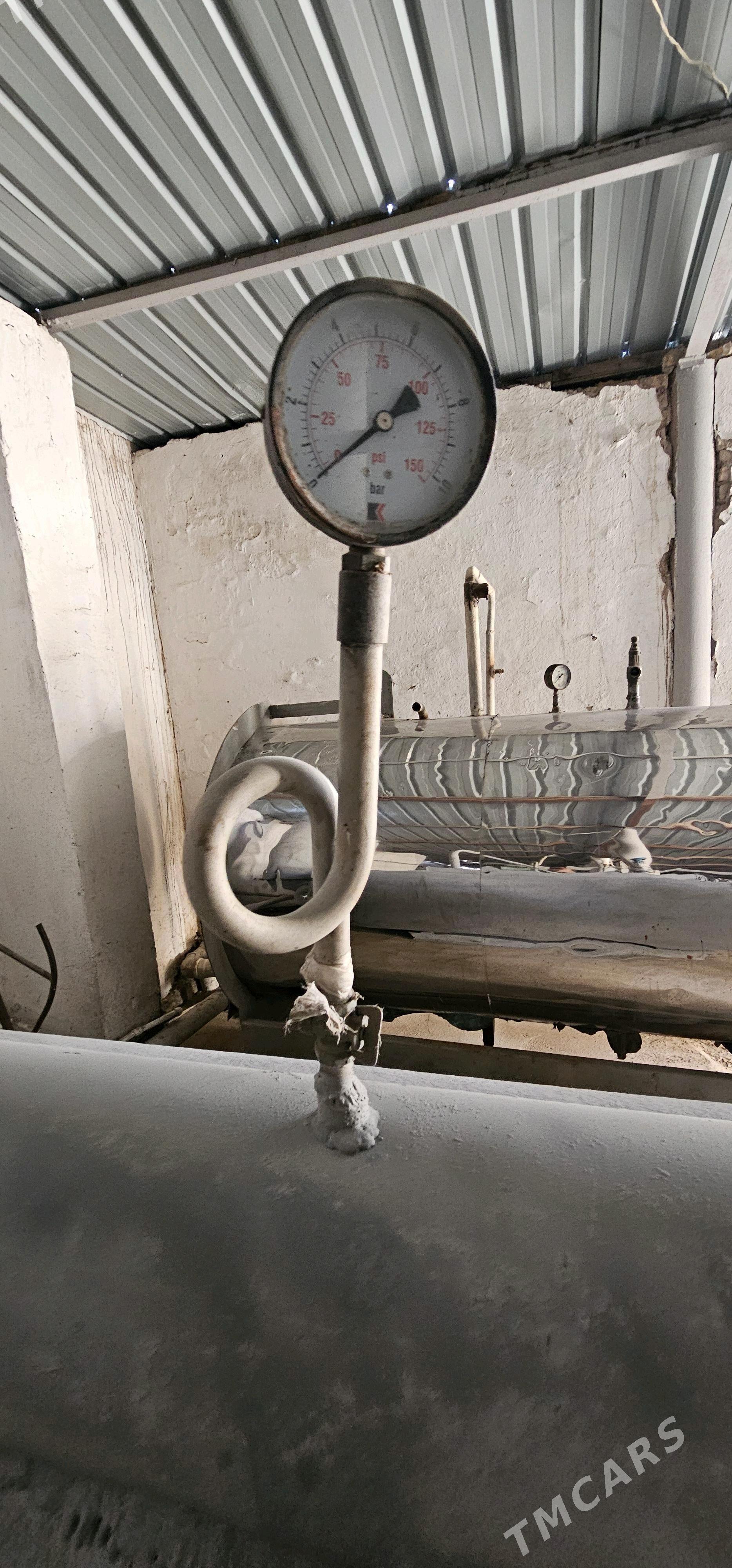 Onumcilik ucin bug gazany - Дашогуз - img 1