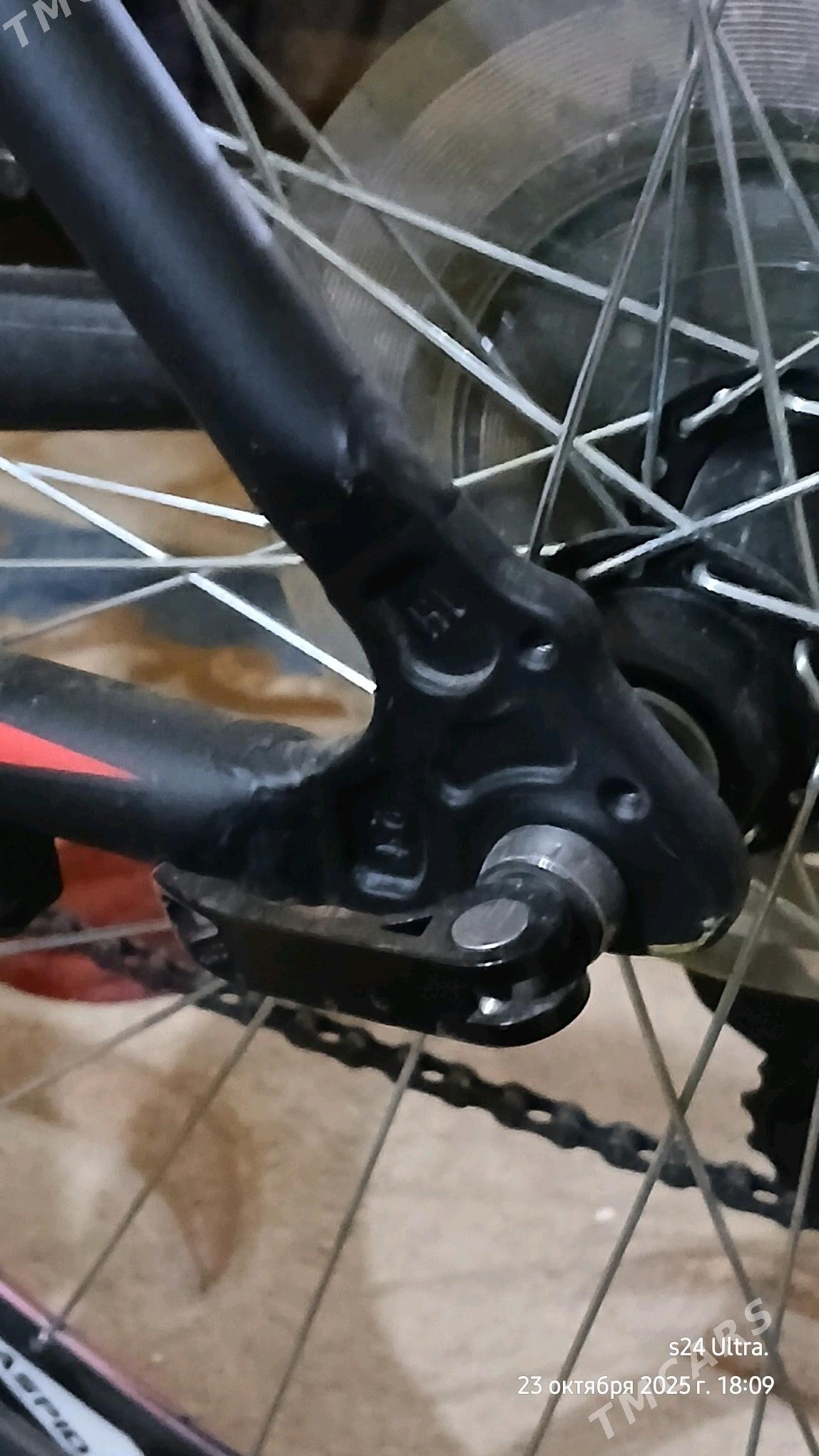 welosiped Bianchi aspid 29th - Туркменабат - img 4