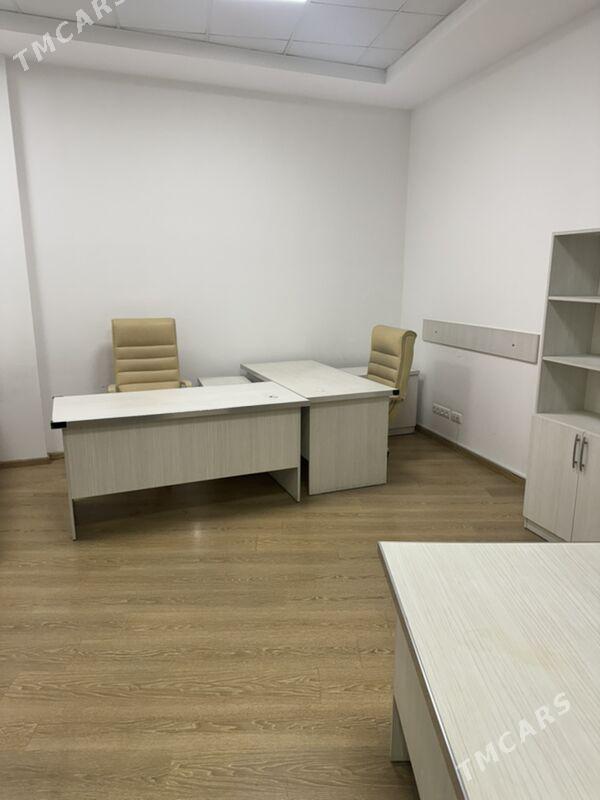 Berkarar ofis - "Berkarar" SDAM - img 2