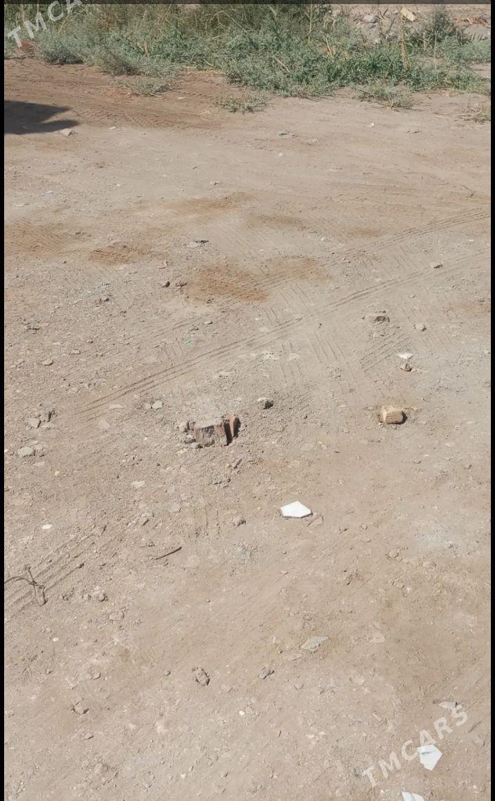 gury mellek - Туркменабат - img 3