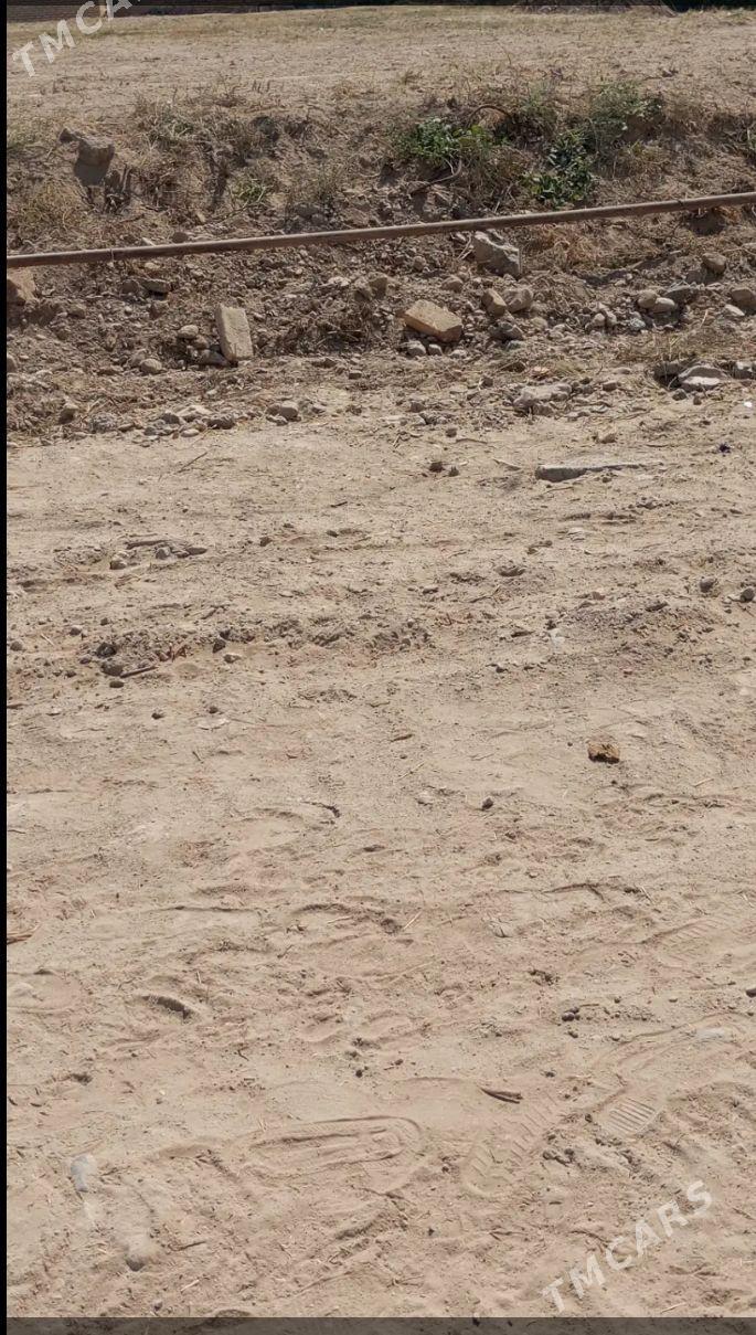 gury mellek - Туркменабат - img 2