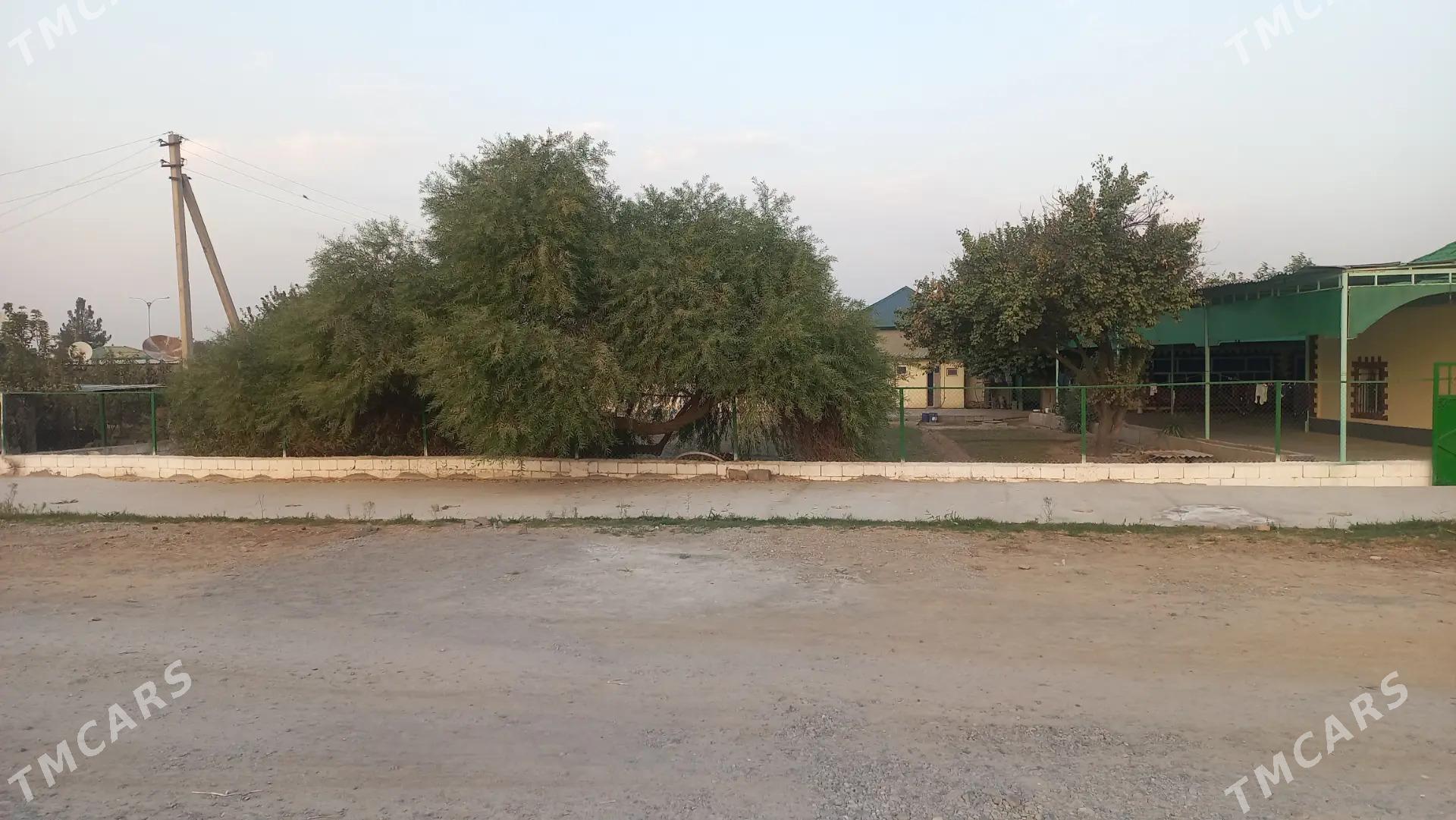 Mellek ýer - Bagyr - img 3