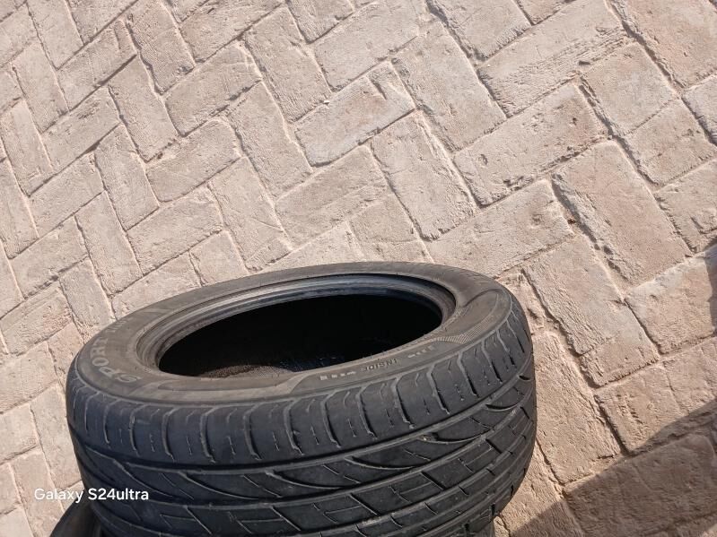 Bolon 300 TMT - Керки - img 2