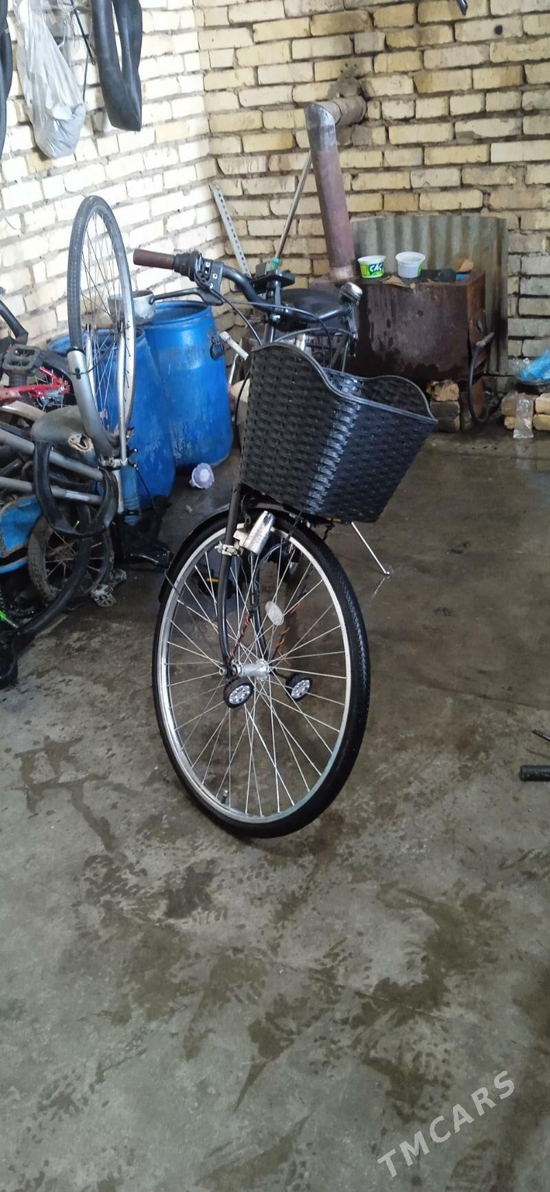 welsopet - Mary - img 3