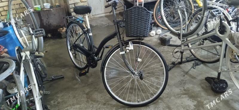 welsopet - Mary - img 4