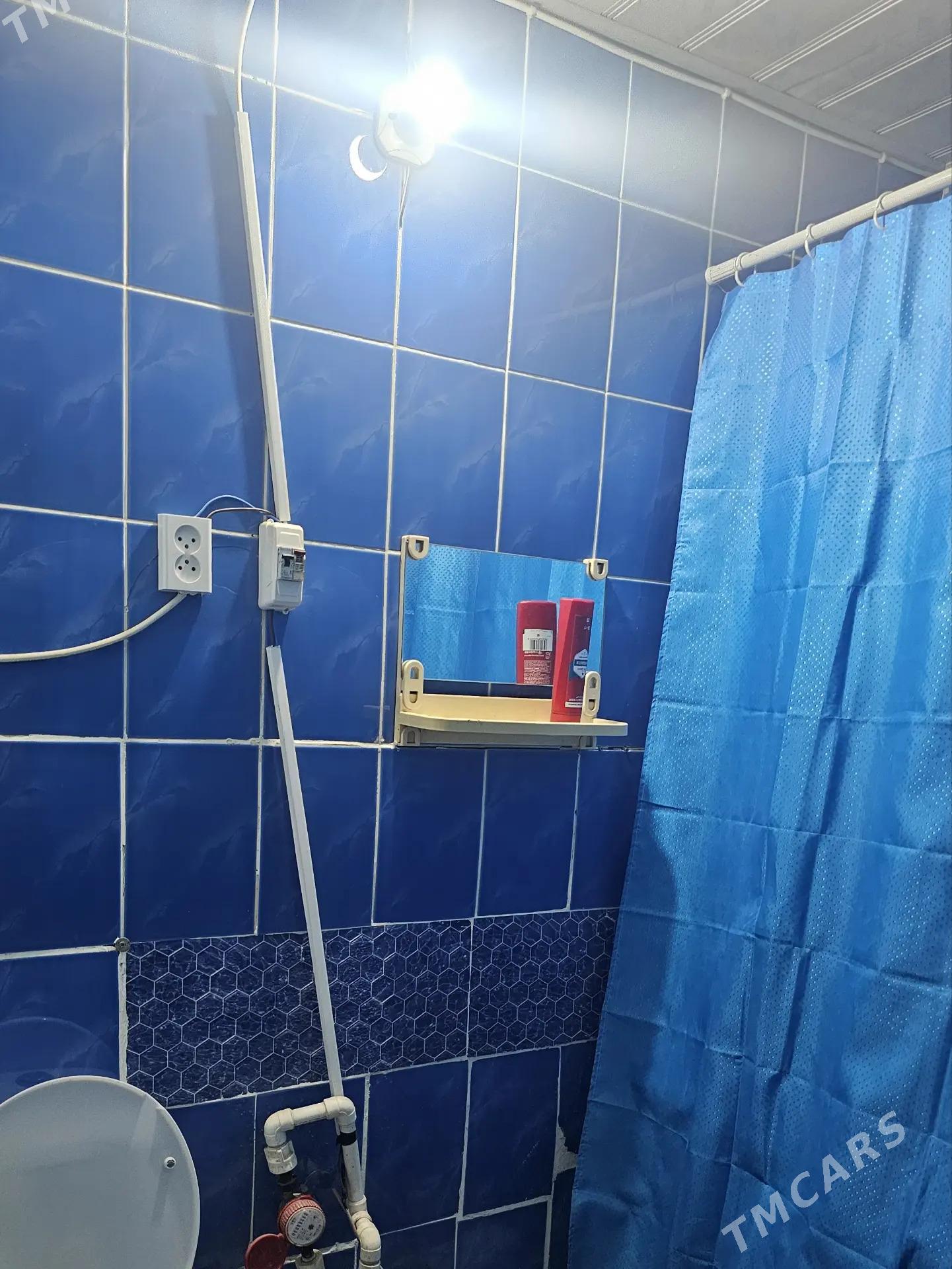 Satlyk jaŷ - Mary - img 3