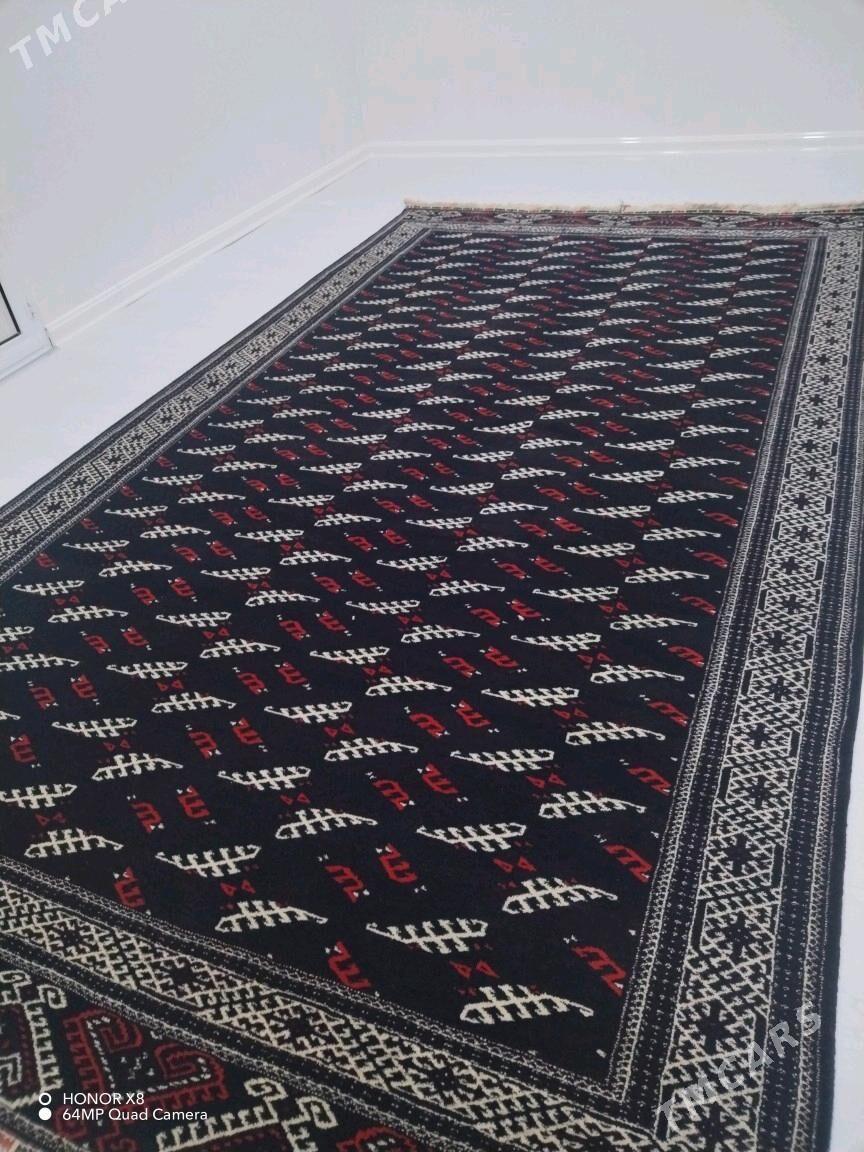 Gara haly - Gumdag - img 2