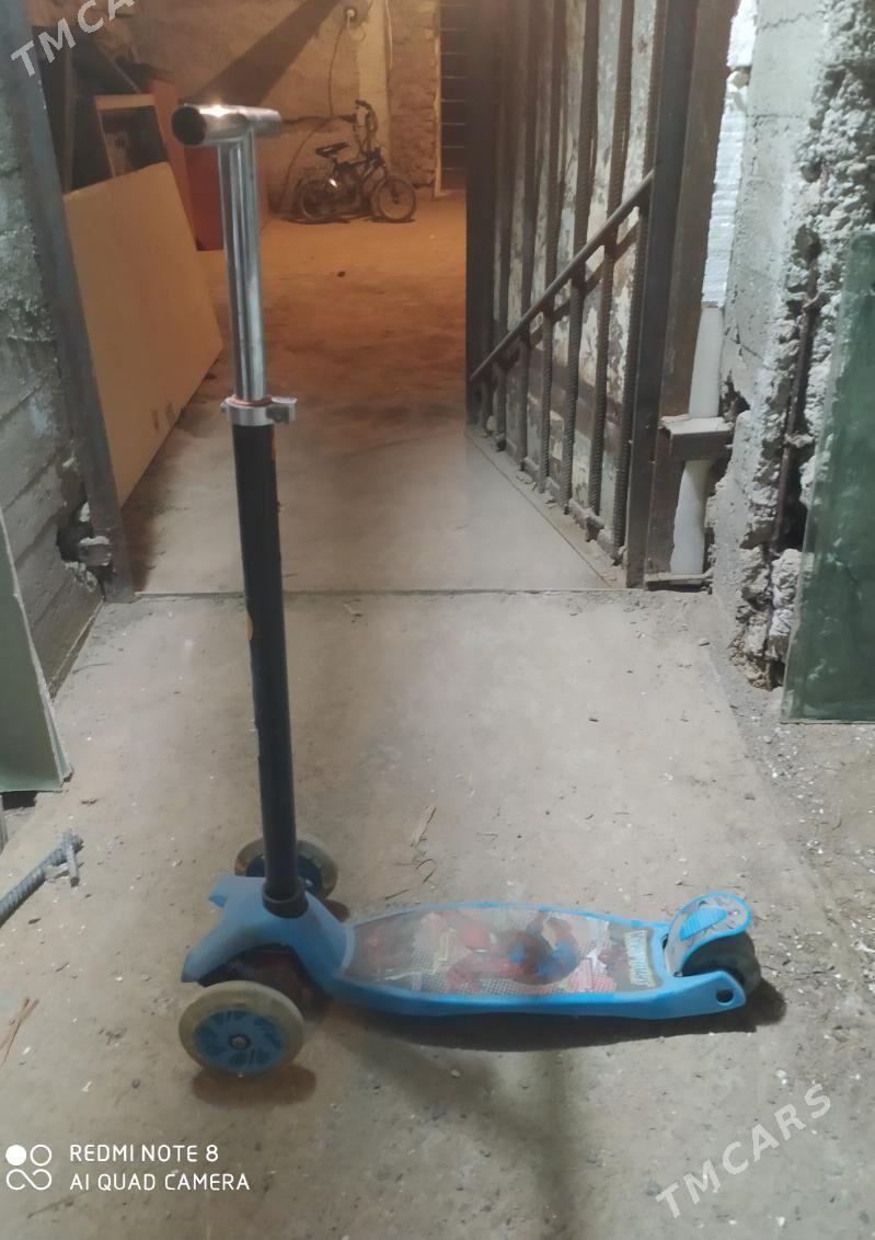 Tigir - 30 mkr - img 2