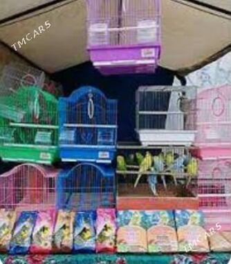 Клетка попугай гушлар ун - Ашхабад - img 2