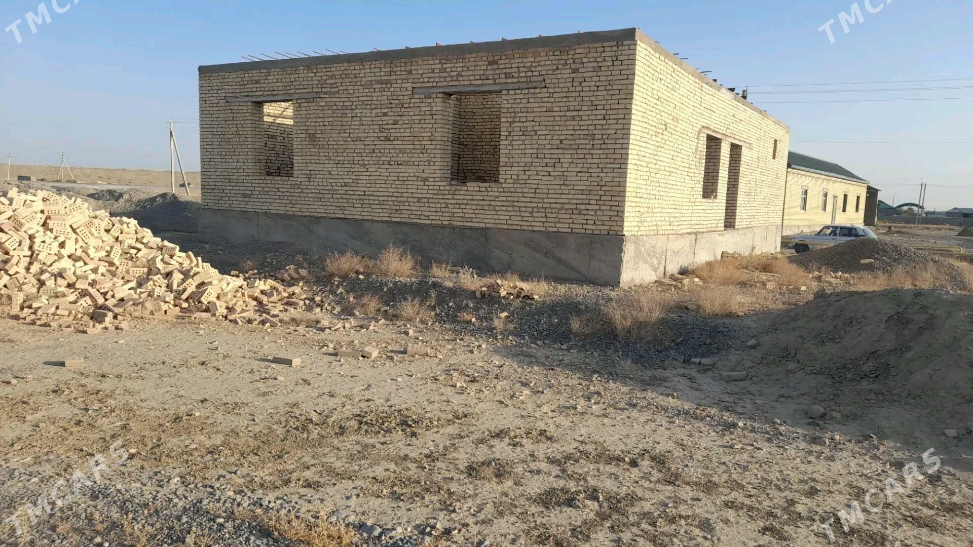 satlyk jay - Kaka - img 2