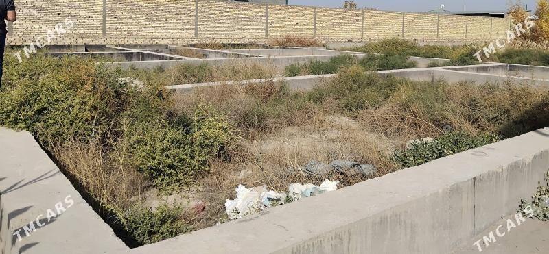 jay  yer satilyar - Daşoguz - img 2