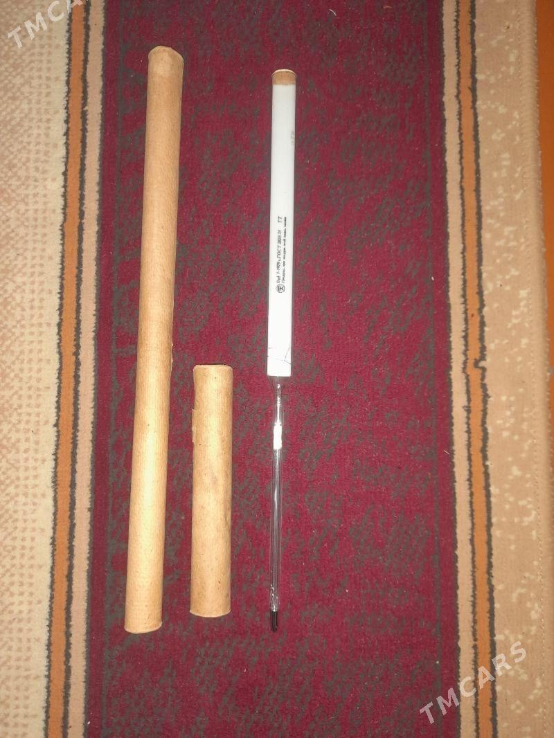 ГРАДУСНИК - Мары - img 2