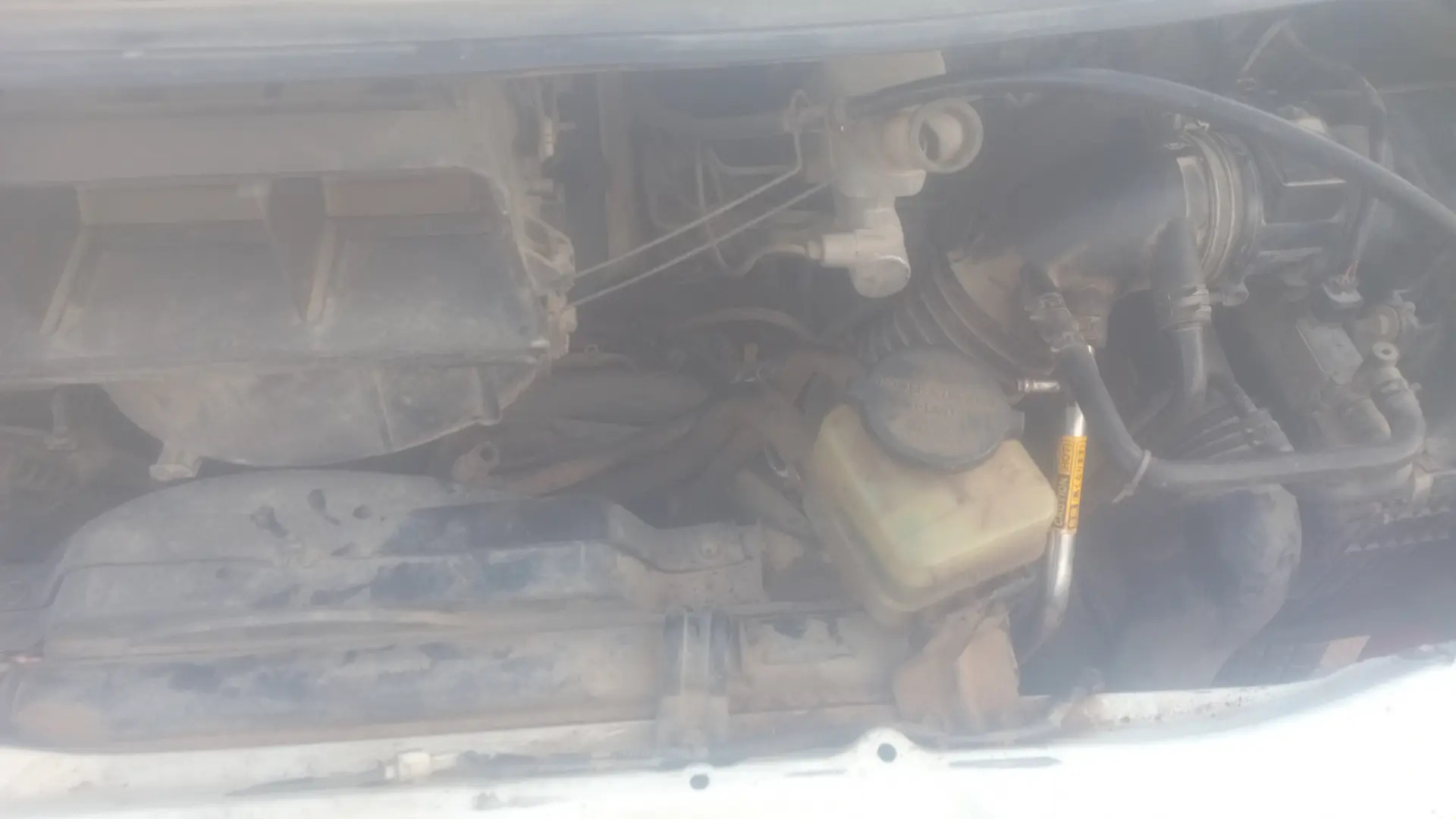 Previa morda 1 250 TMT - Aşgabat - img 2