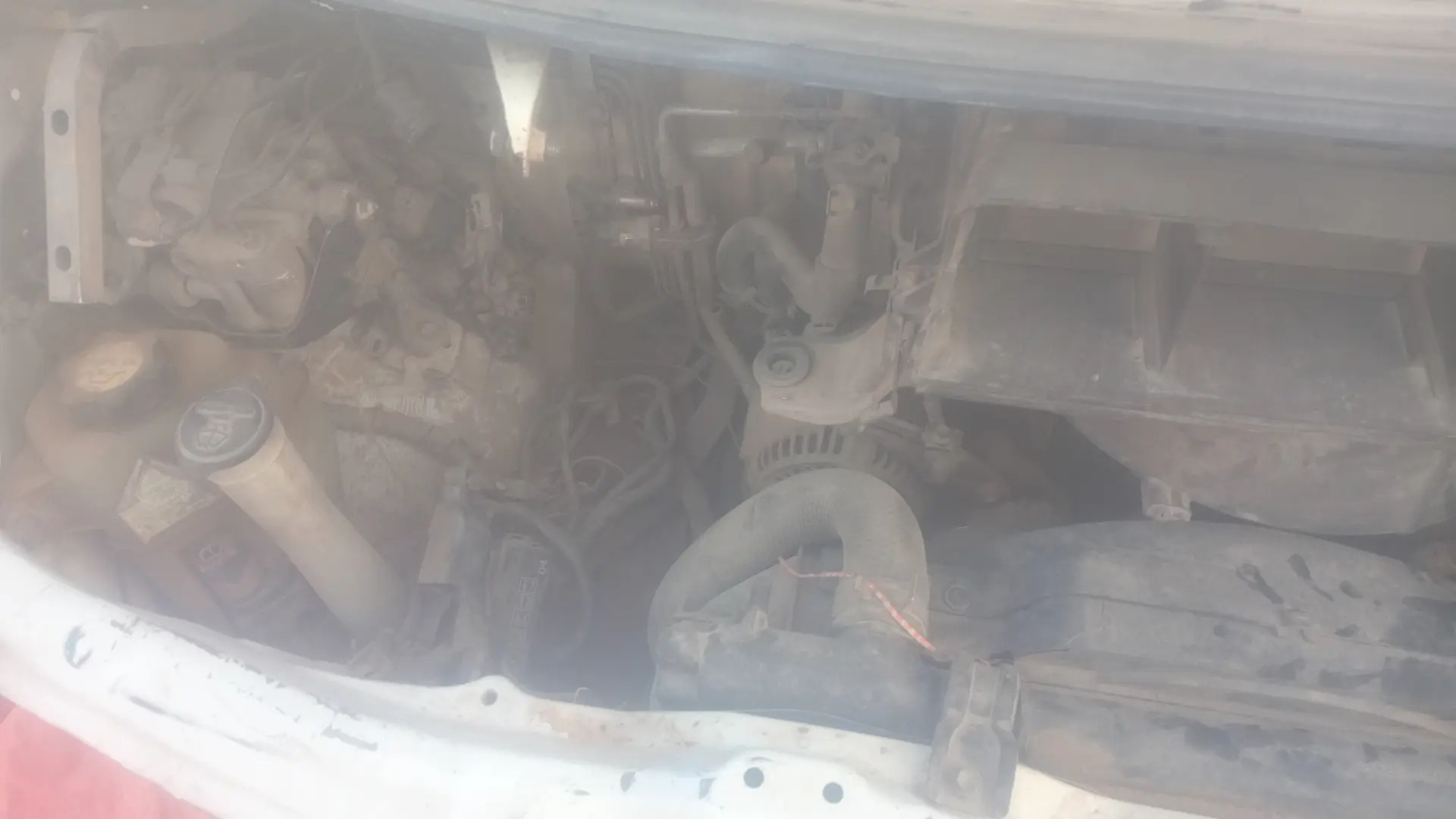 Previa morda 1 250 TMT - Aşgabat - img 3