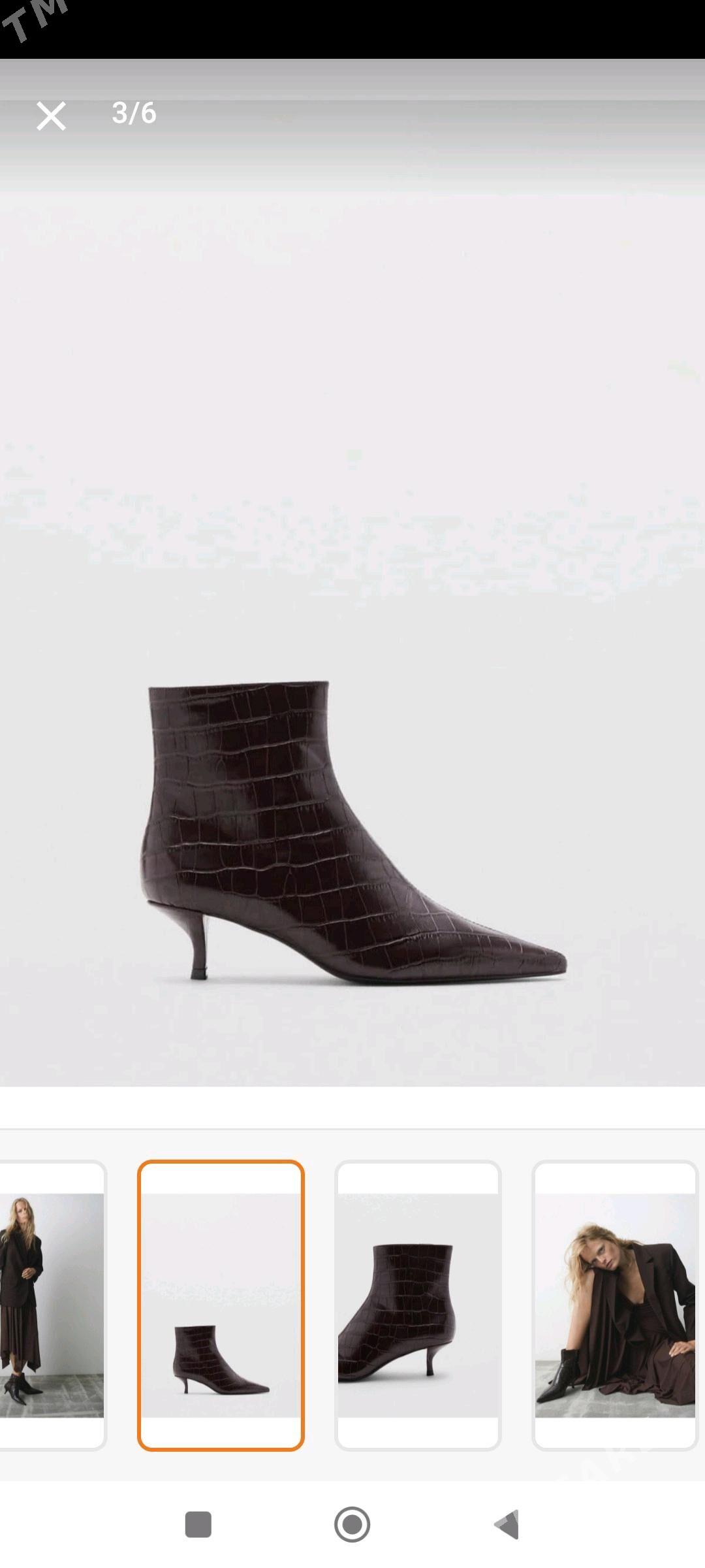 Mango ädik - Türkmenbaşy - img 4