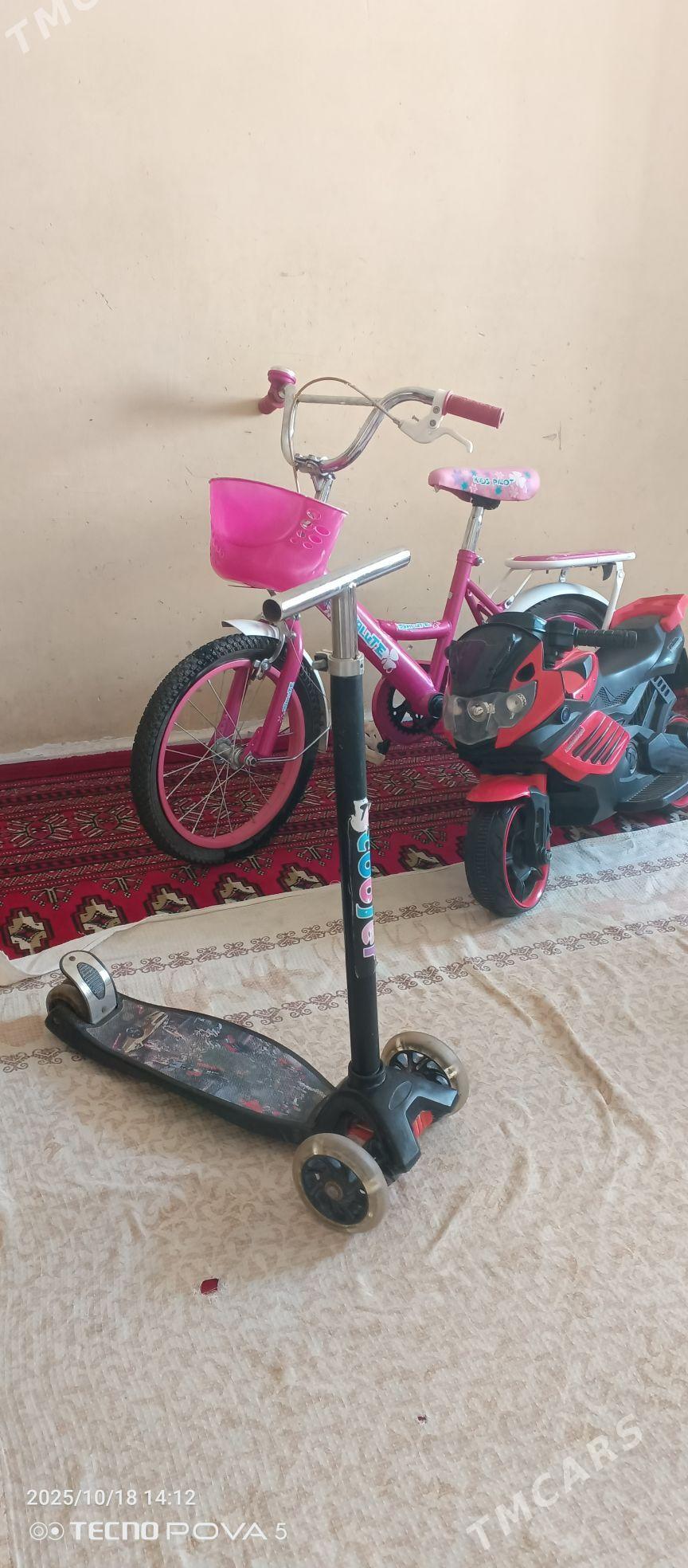 tigir - Arkadag - img 4