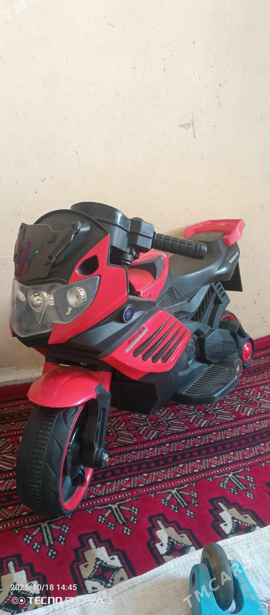 tigir - Arkadag - img 2