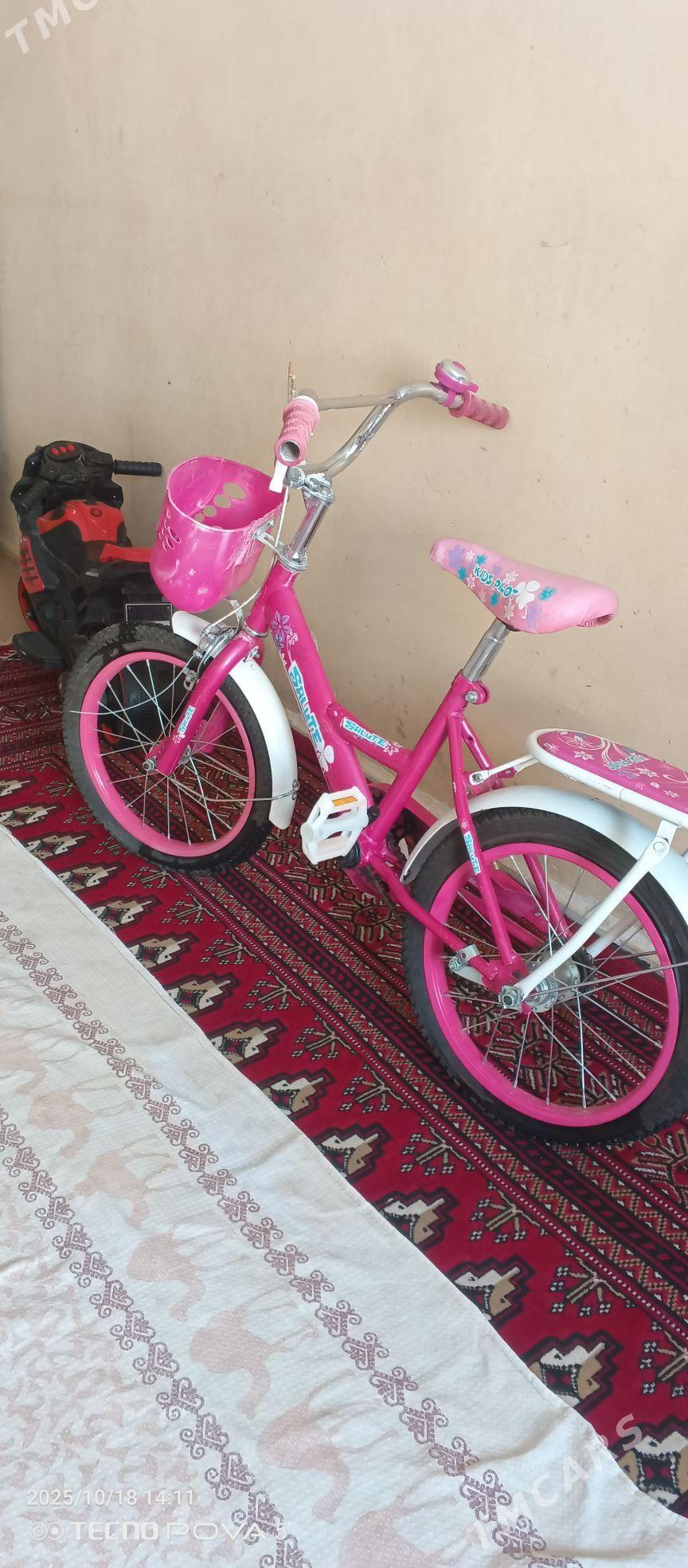 tigir - Arkadag - img 1