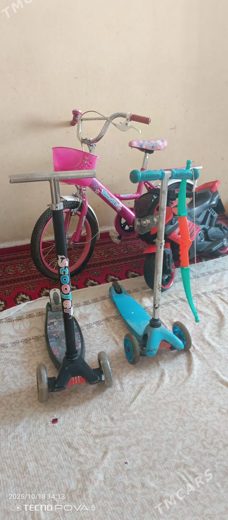 tigir - Arkadag - img 3