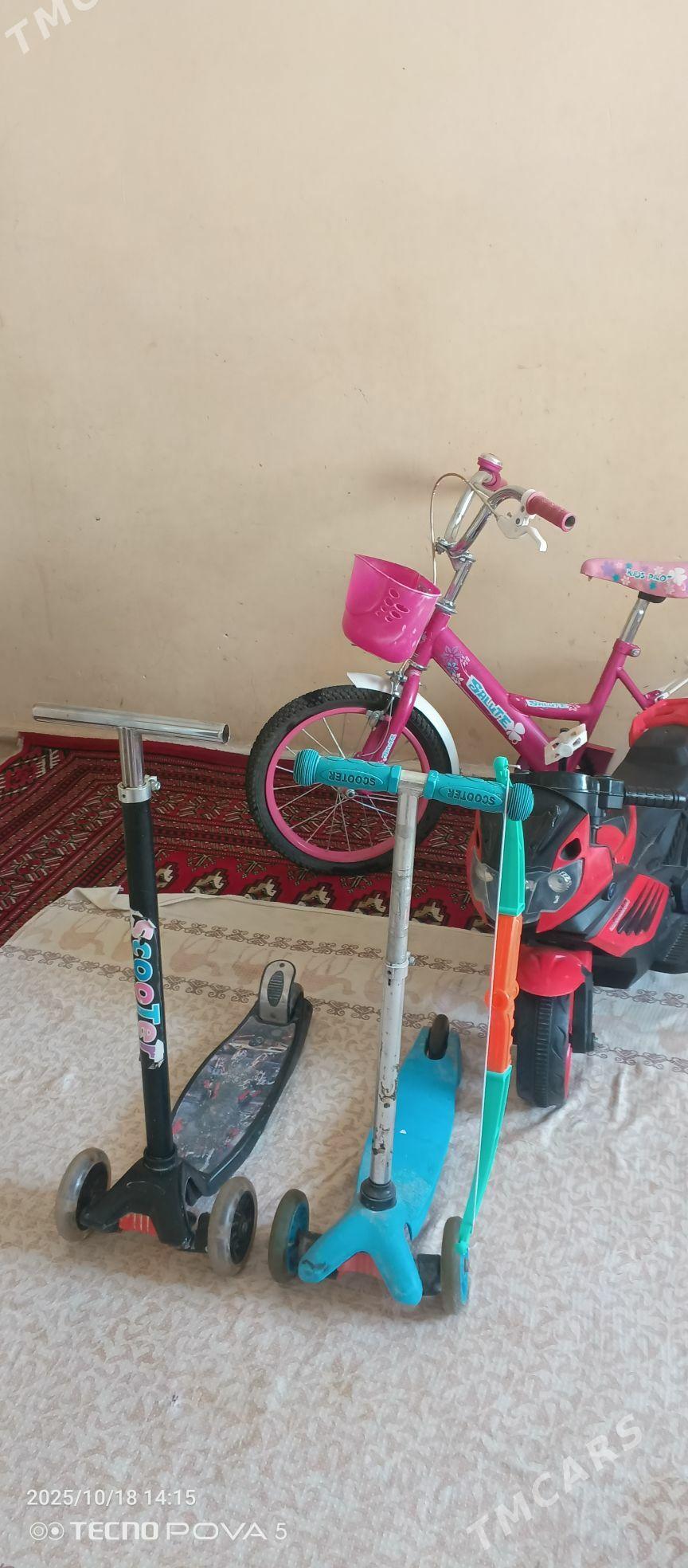 tigir - Arkadag - img 5