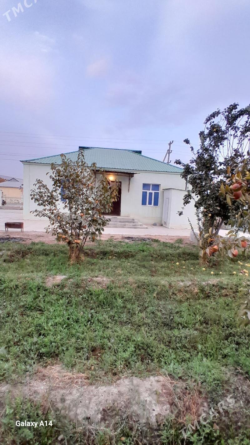 Satlyk jay hurmantgökje - Gökdepe - img 4