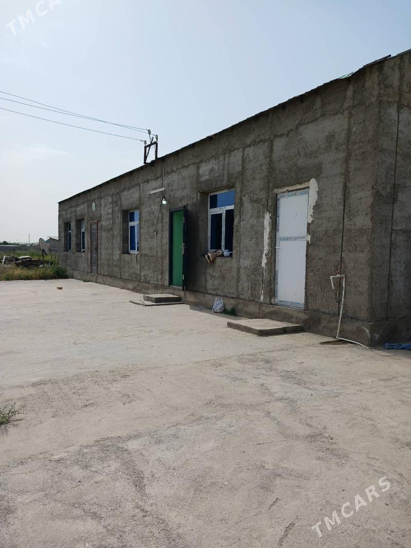 satlyk melek jay - Бахарден - img 4