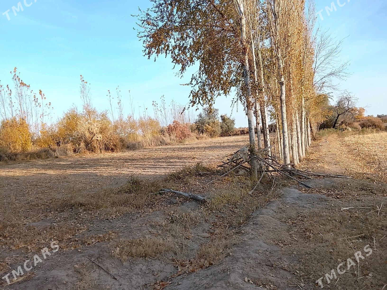 emlak jay - етр. Туркменбаши - img 2