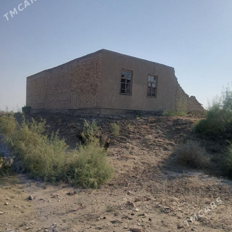 satlyk jay - Çärjew - img 3