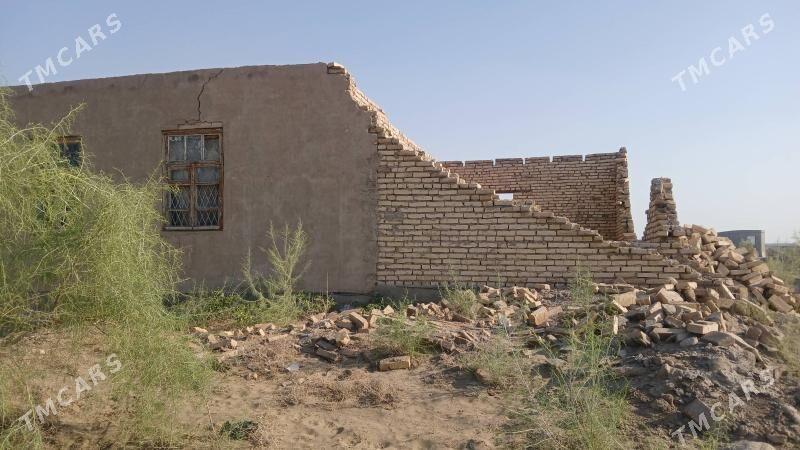 satlyk jay - Çärjew - img 4