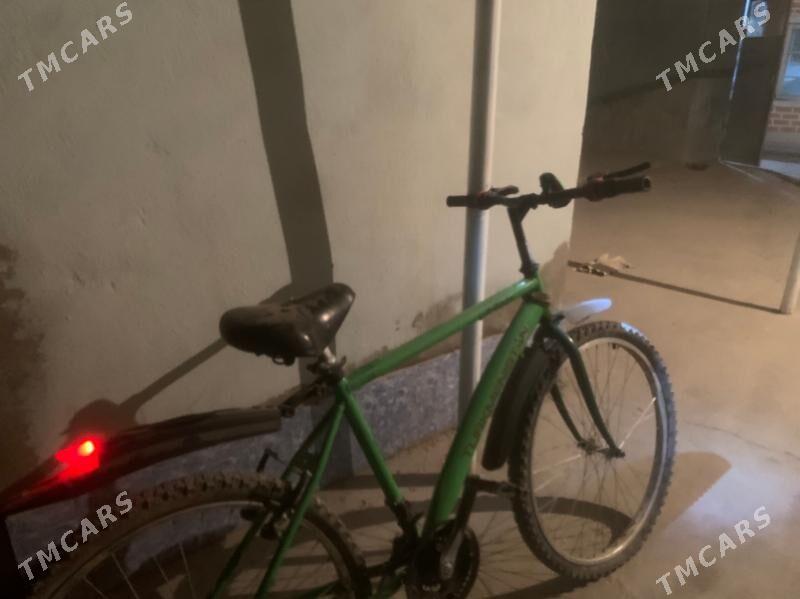 tigir - Gökdepe - img 2