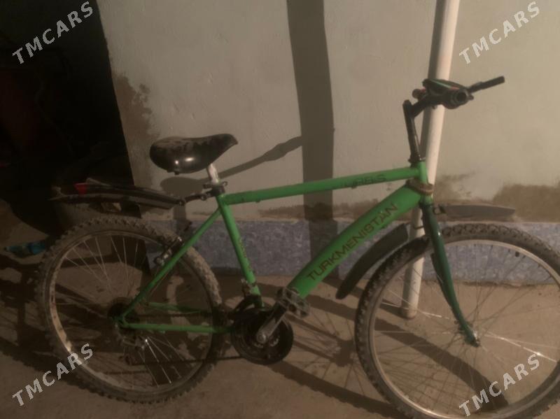 tigir - Gökdepe - img 3