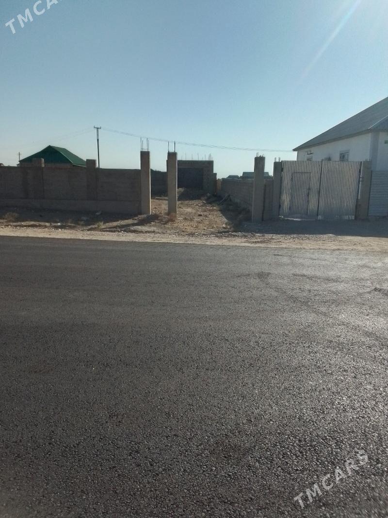 duzmergen - Balkanabat - img 3