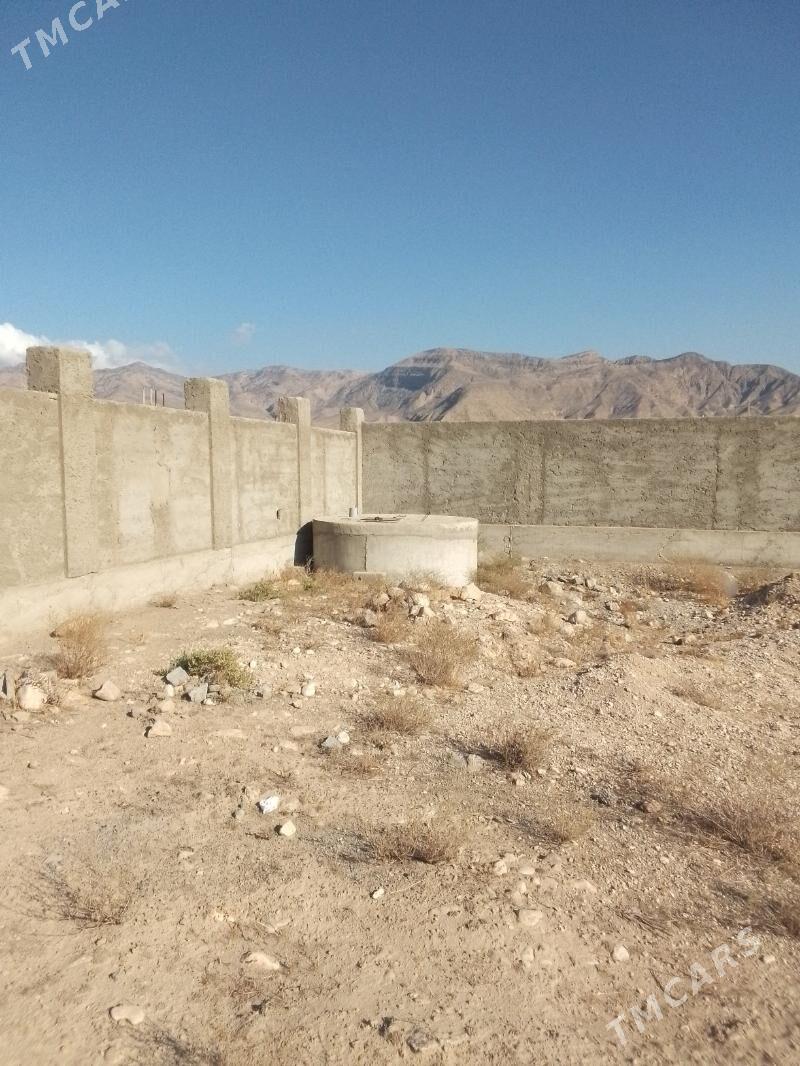 duzmergen - Balkanabat - img 2