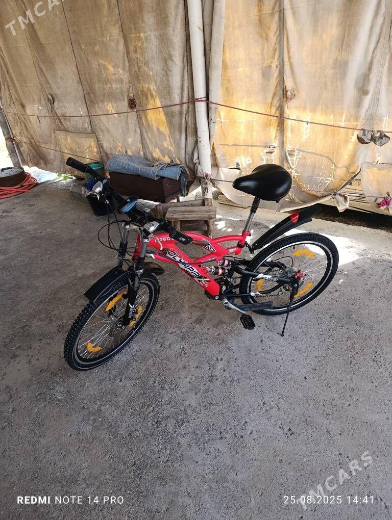 Olimpia - Mary - img 4