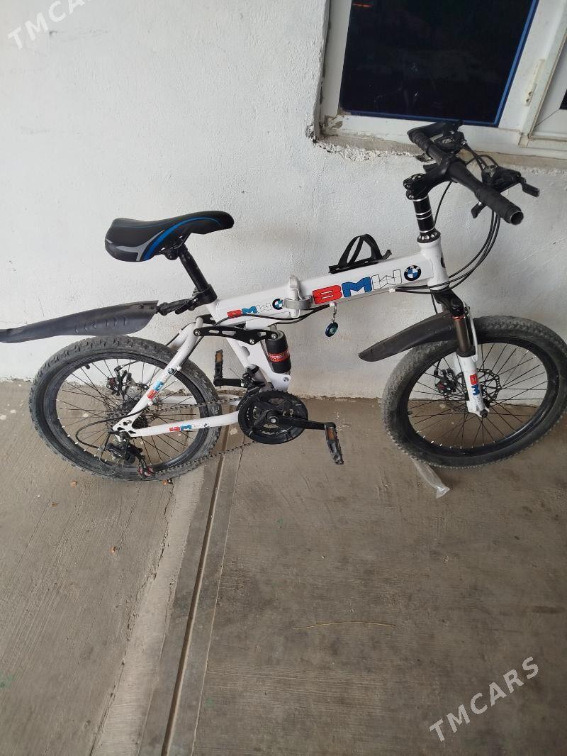 tigir - Чоганлы - img 1