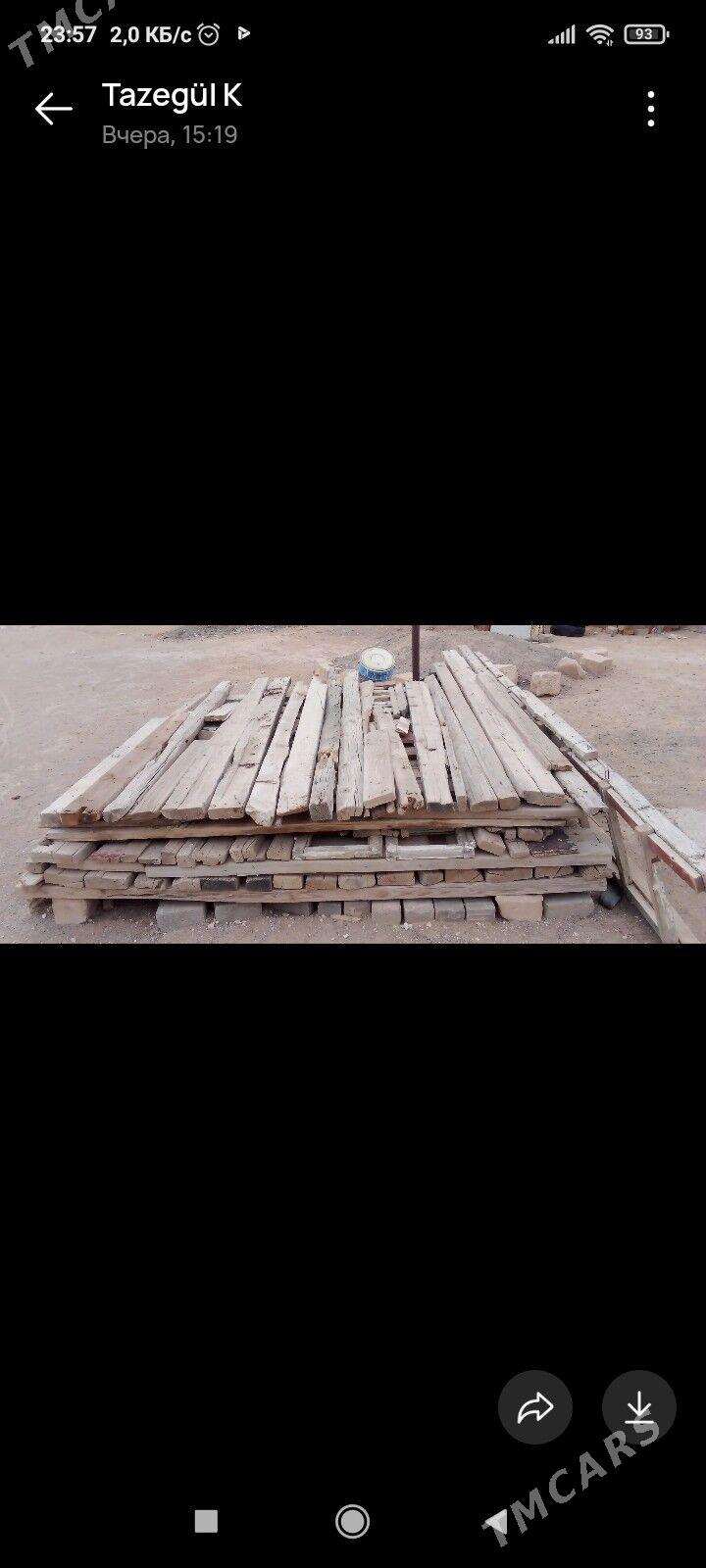 ağaç - Türkmenbaşy - img 2