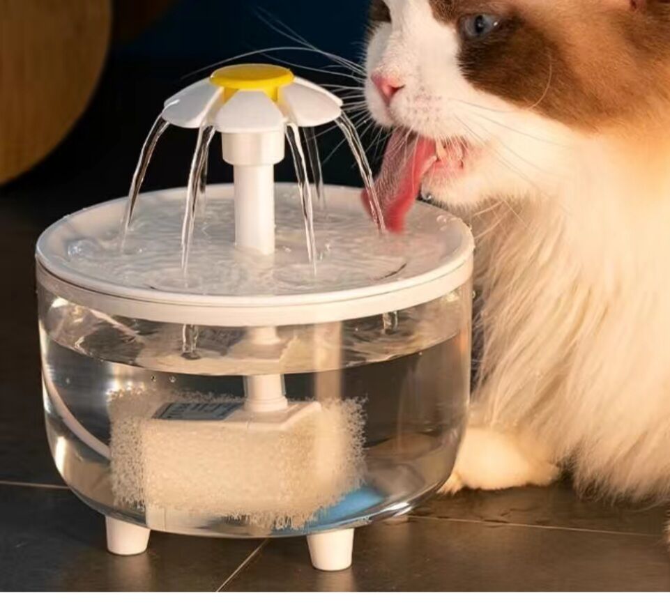 Питьевой фонтан для кошек - Ашхабад - img 2