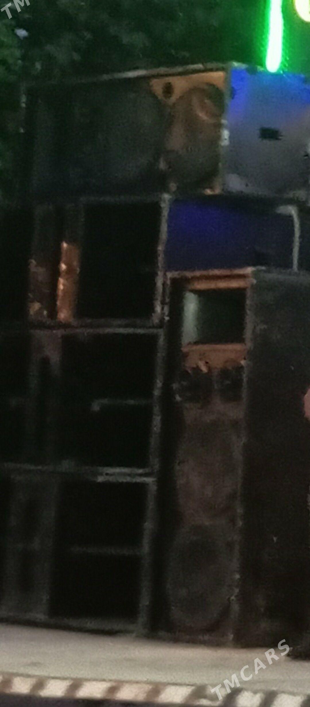 toy kalonka - Halaç - img 2