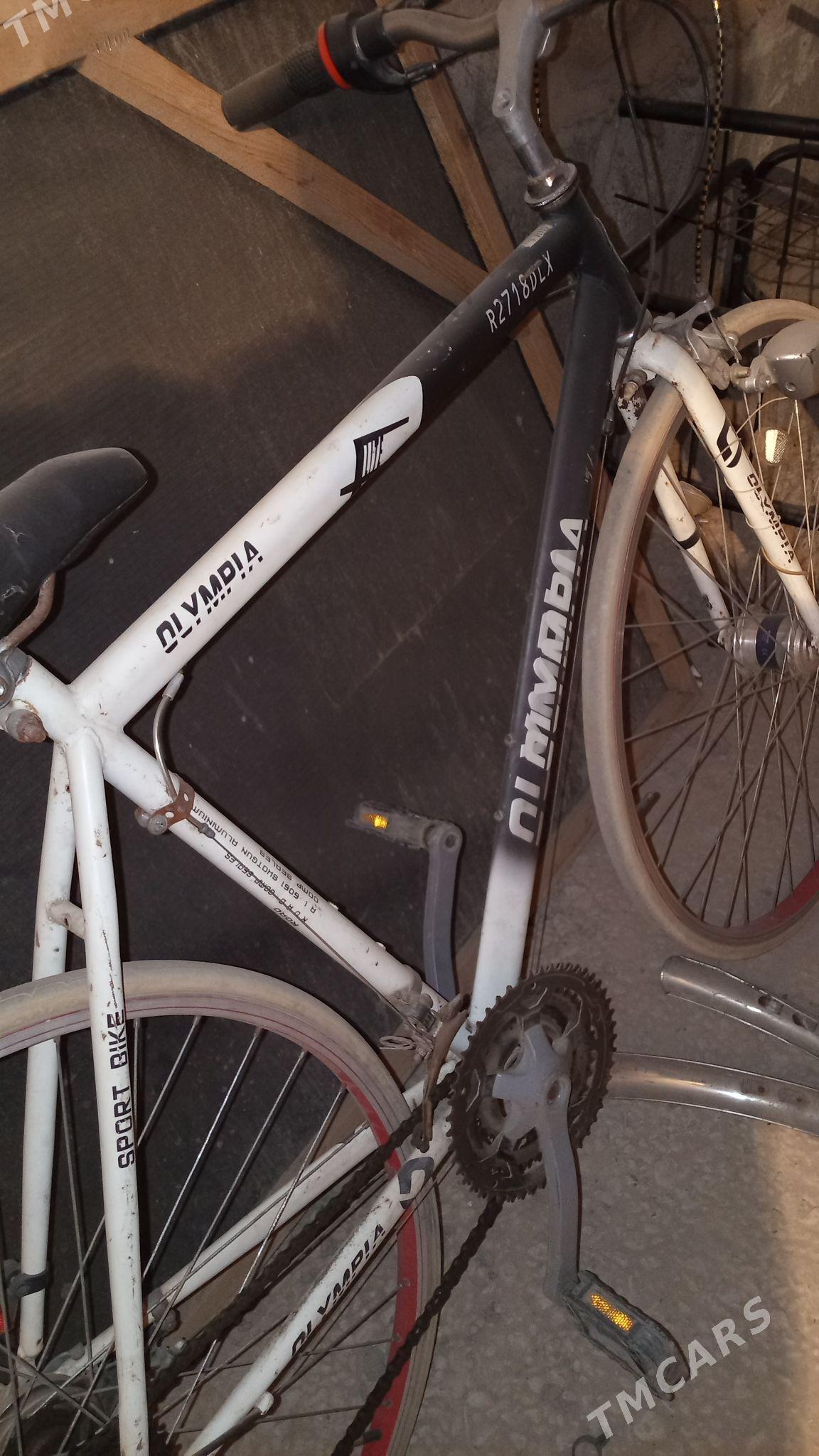 Veli - Дашогуз - img 3