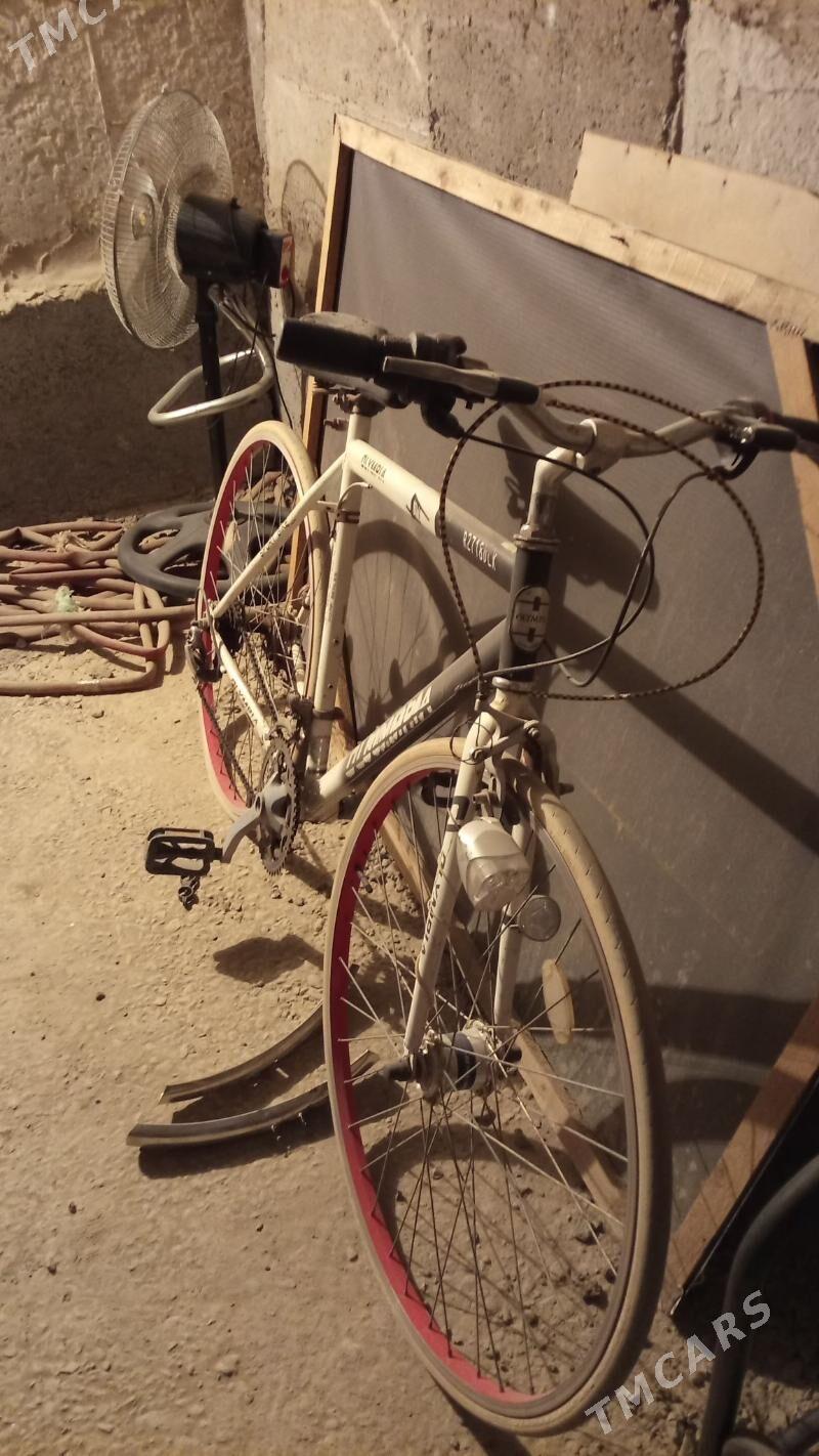 Veli - Дашогуз - img 1