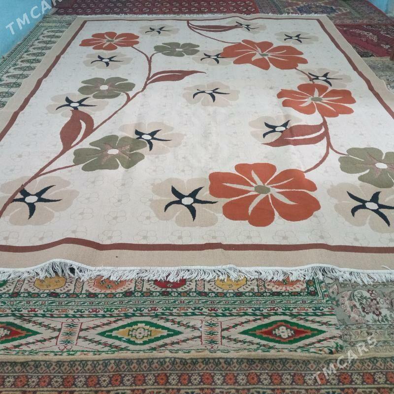 Haly - Saýat - img 2