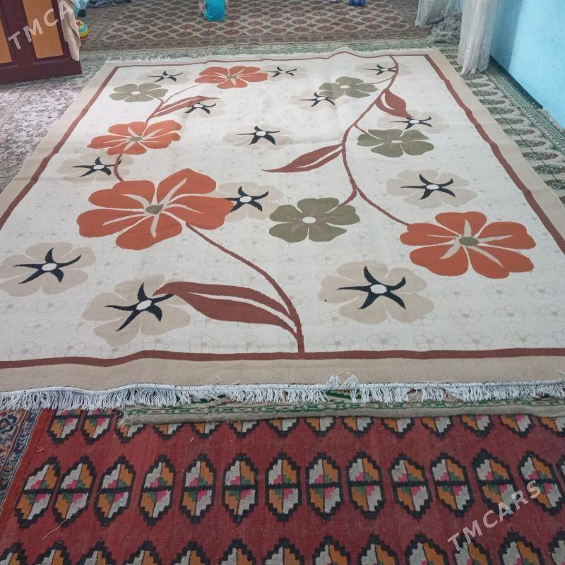 Haly - Saýat - img 3