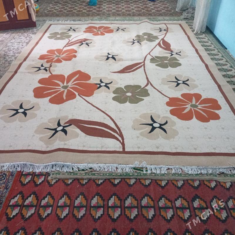 Haly - Saýat - img 1