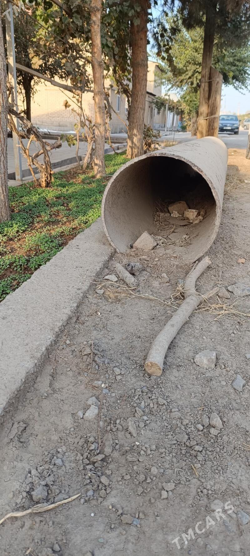 turba - Dänew - img 1