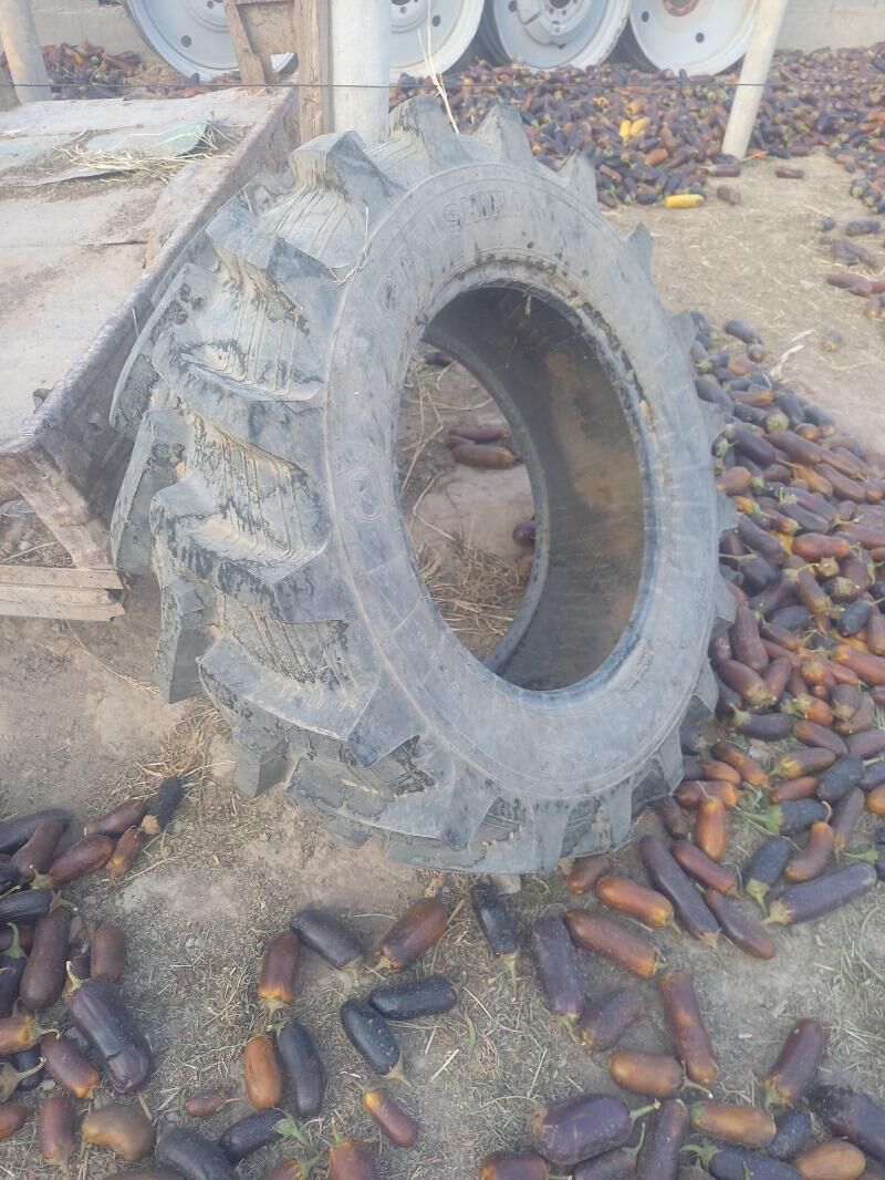 teker 360.70.24 R 4 000 TMT - Aşgabat - img 3