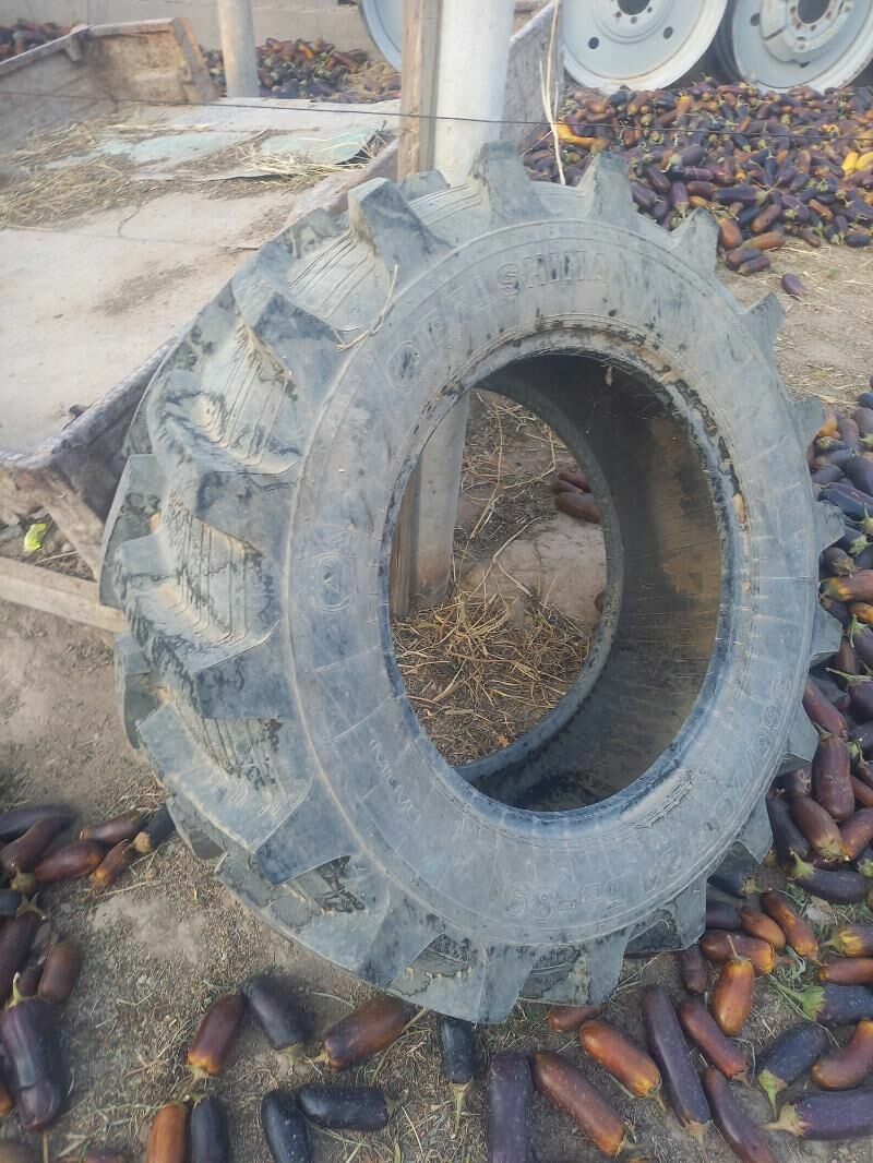 teker 360.70.24 R 4 000 TMT - Aşgabat - img 2